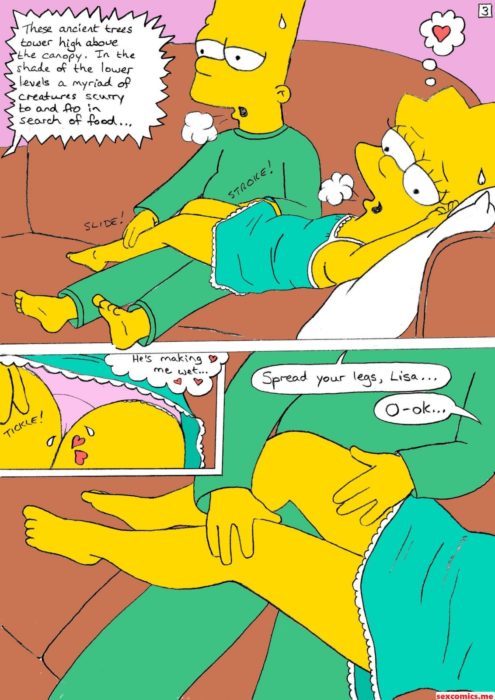 Simpsons The Xxx Parody